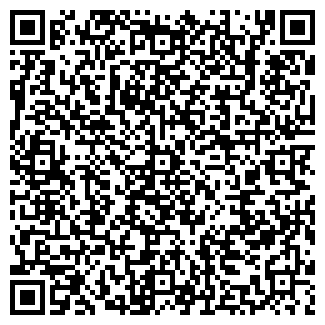 QR-код с контактной информацией организации ИП БИРЮКОВ В.Н.