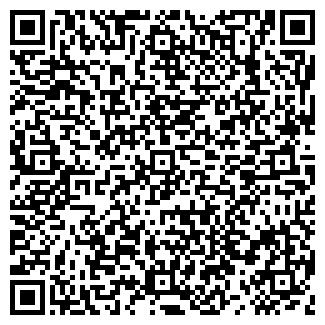 QR-код с контактной информацией организации СВЕТЛАНА-93