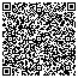 QR-код с контактной информацией организации СИБЭКО-Н
