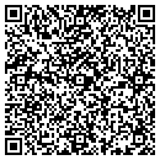 QR-код с контактной информацией организации СВЕТИЛЬНИК