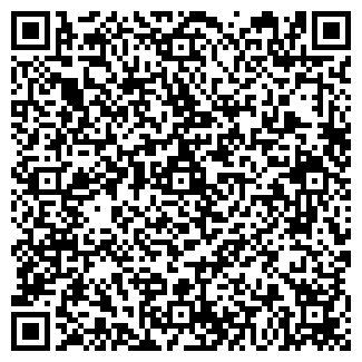 QR-код с контактной информацией организации ГАЕВСКИЙ В. А.