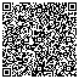 QR-код с контактной информацией организации ИНОСТРАННЫЕ ЯЗЫКИ В ОМСКЕ ГАЗЕТА