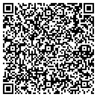 QR-код с контактной информацией организации ФИЕСТА МАГАЗИН