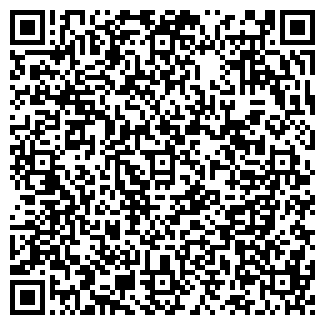 QR-код с контактной информацией организации ВАВИЛОН-ОМСК