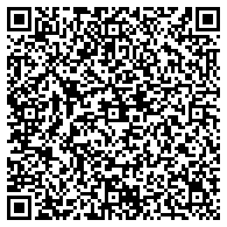 QR-код с контактной информацией организации РАЗГУЛОВ В.В.