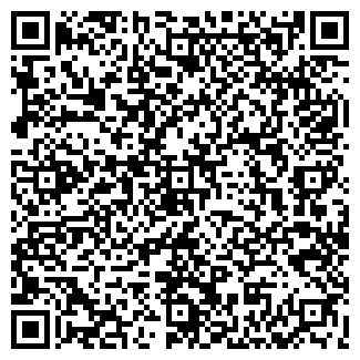 QR-код с контактной информацией организации ШАХМАТНЫЙ КЛУБ, ОАО