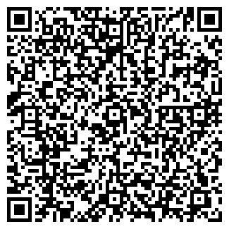 QR-код с контактной информацией организации СИБИРЬТЕЛЕКОМ