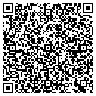QR-код с контактной информацией организации WELL.COM