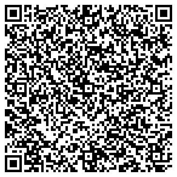 QR-код с контактной информацией организации «Детская школа искусств»