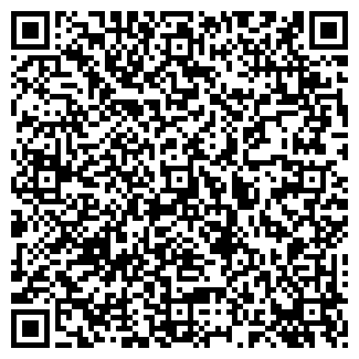 QR-код с контактной информацией организации ТОЛСТОВ С. И. ЧП