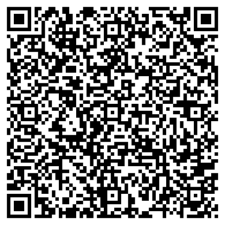 QR-код с контактной информацией организации ДИММ, ООО