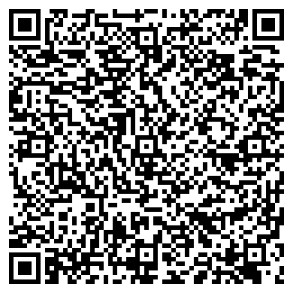 QR-код с контактной информацией организации АЛЬТЕРНА