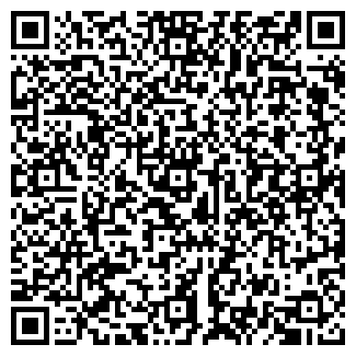 QR-код с контактной информацией организации БАГЫШКОВО