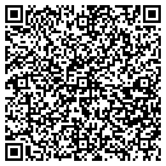 QR-код с контактной информацией организации СЕМЕНОВ А. И., ИП