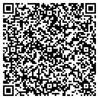 QR-код с контактной информацией организации ЛИЗА МАГАЗИН