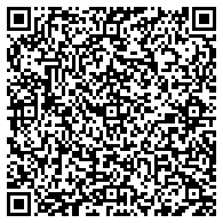 QR-код с контактной информацией организации STEPINSITE