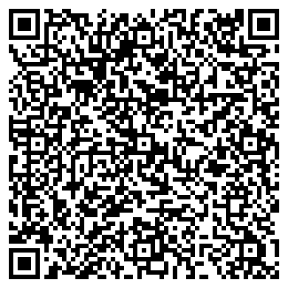 QR-код с контактной информацией организации ВИГМА ТД ООО