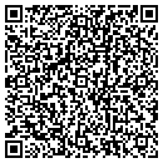 QR-код с контактной информацией организации ДОКТОР СТОЛЕТОВ