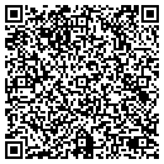 QR-код с контактной информацией организации ООО РИЦА, ФИРМА