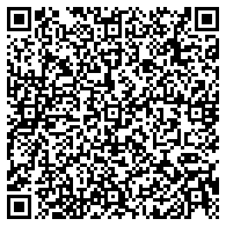 QR-код с контактной информацией организации ПРОМЭЛЕК РС