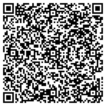 QR-код с контактной информацией организации БОЛЬШОЕ КИНО