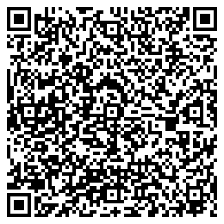 QR-код с контактной информацией организации БЛИЦ САЛОН