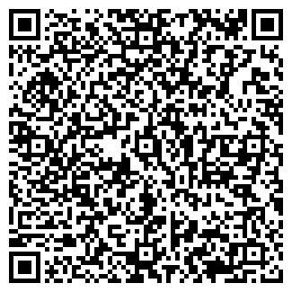 QR-код с контактной информацией организации МЕГА АУДИТ