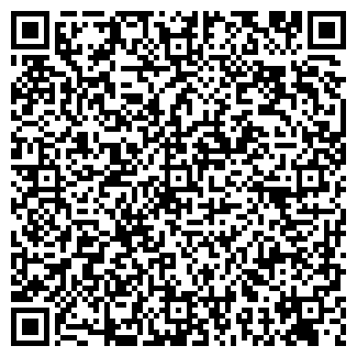 QR-код с контактной информацией организации № 4 ВГПУ