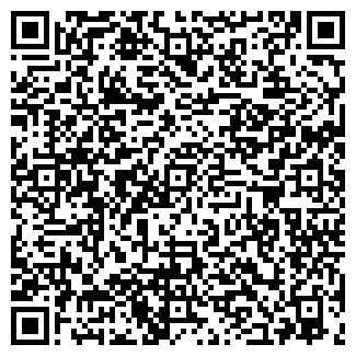 QR-код с контактной информацией организации ЛИГА-АУДИТ