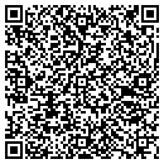 QR-код с контактной информацией организации КОЛИЗЕЙ