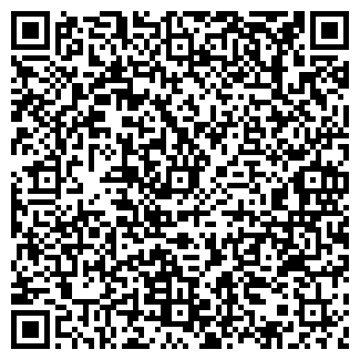 QR-код с контактной информацией организации «НОВЫЙ СВЕТ»