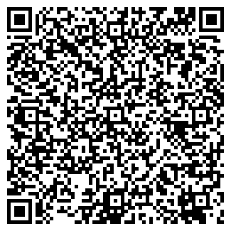 QR-код с контактной информацией организации СВЕТЛАНА