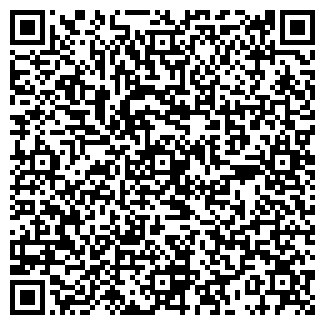 QR-код с контактной информацией организации ТОДИСА ПЛЮС