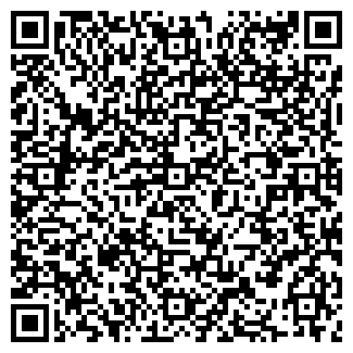 QR-код с контактной информацией организации ДИВИЗИОН, ООО