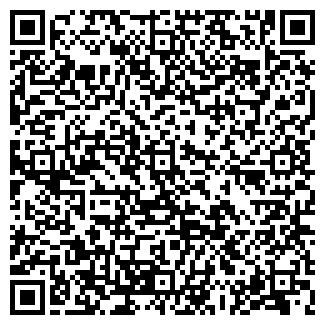 QR-код с контактной информацией организации «Датсун»