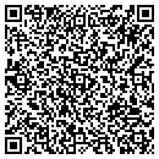 QR-код с контактной информацией организации ЧИЧЕРИНА, ЧП