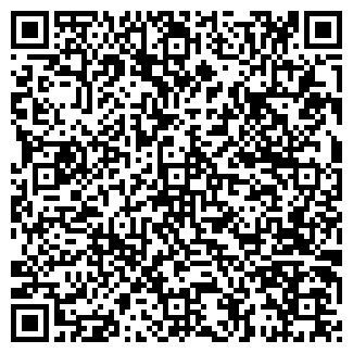 QR-код с контактной информацией организации ДИНА Л АПТЕКА