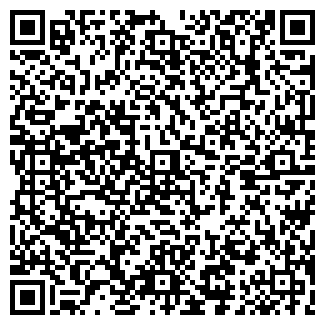 QR-код с контактной информацией организации № 93 ТРОЙКА