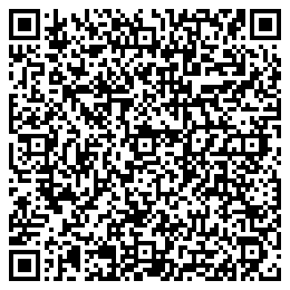 QR-код с контактной информацией организации Кафе «Пирамида»