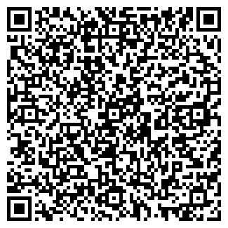 QR-код с контактной информацией организации АБЫШКИН С. И., ЧП