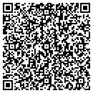 QR-код с контактной информацией организации БАГИРА, ТОО