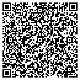 QR-код с контактной информацией организации СВЕТЛАНА