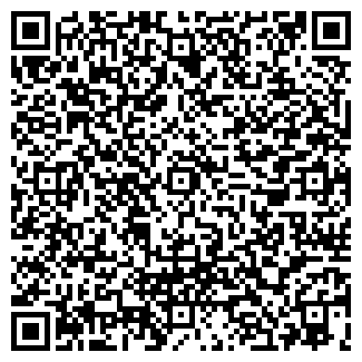 QR-код с контактной информацией организации ИП БИЧИН А.Ю.