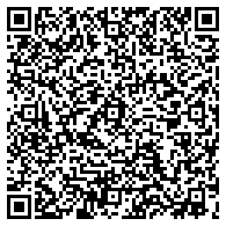 QR-код с контактной информацией организации РИЗУР, ЗАО