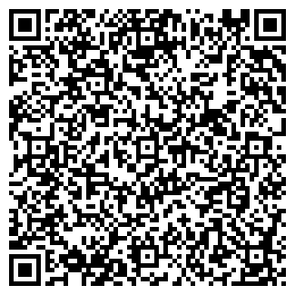 QR-код с контактной информацией организации ООО ШИНСЕРВИС