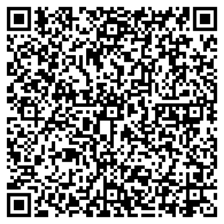 QR-код с контактной информацией организации ЧИБИСОВА В.Л.