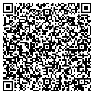 QR-код с контактной информацией организации ДРИМ РИА