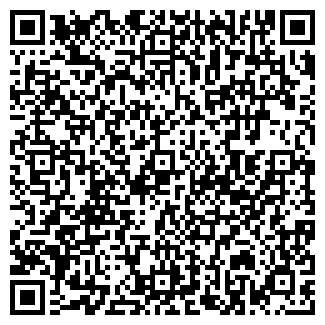 QR-код с контактной информацией организации № 203