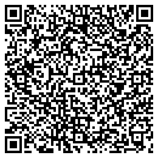 QR-код с контактной информацией организации № 293 ДОУ