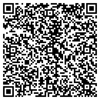 QR-код с контактной информацией организации ШЕЙФЕЛЬ И.Е.